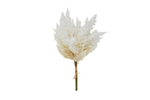 Branche de roseau blanc 33cm - Piscines Soucy