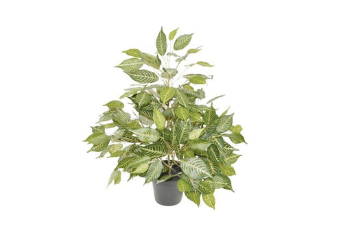 Ficus artificiel en pot 57cm - Piscines Soucy